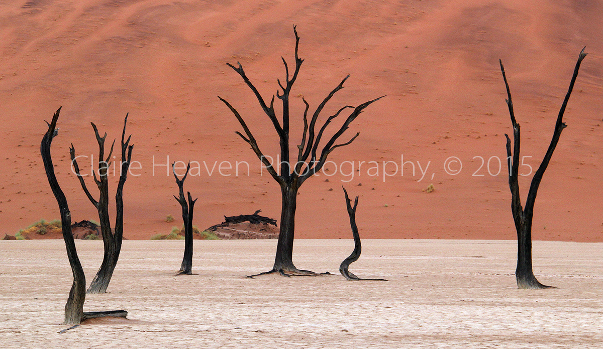 Dead Vlei series #4