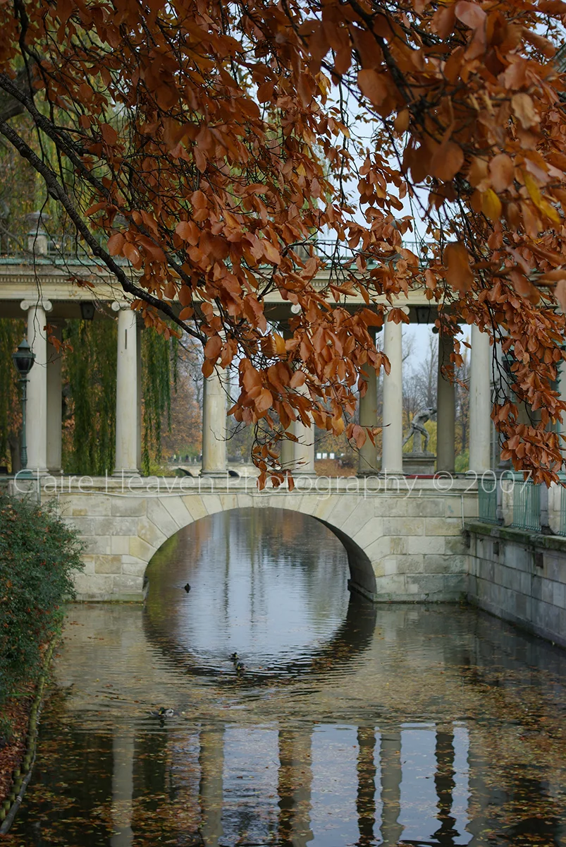 Autumn colours and reflections