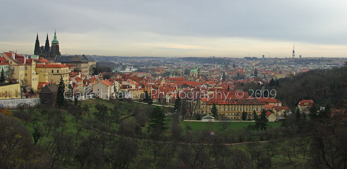 View of the city