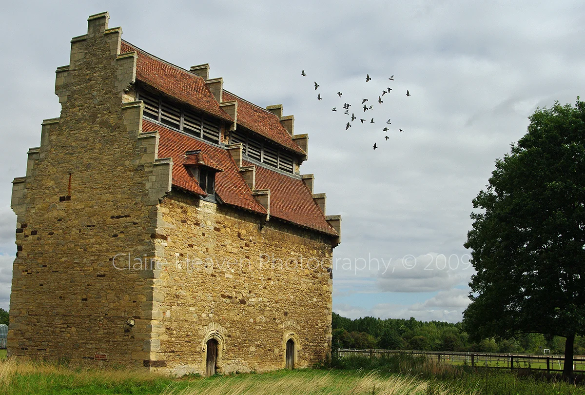 Dove's house