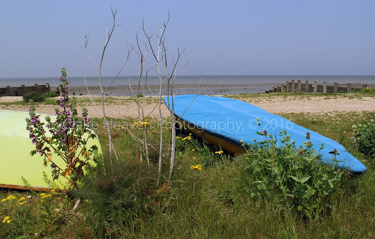 Whitstable series - #1