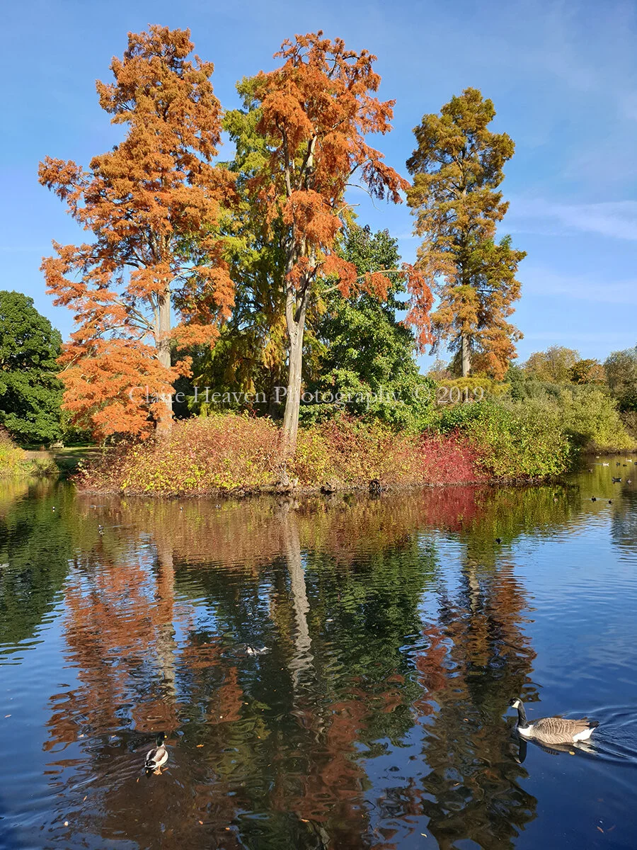 Kew Gardens series #2
