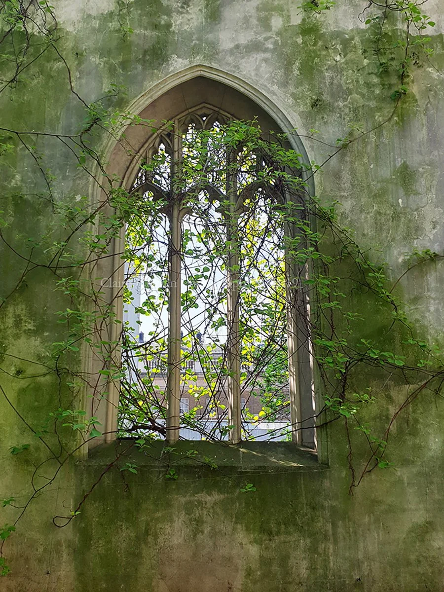 A window into nature