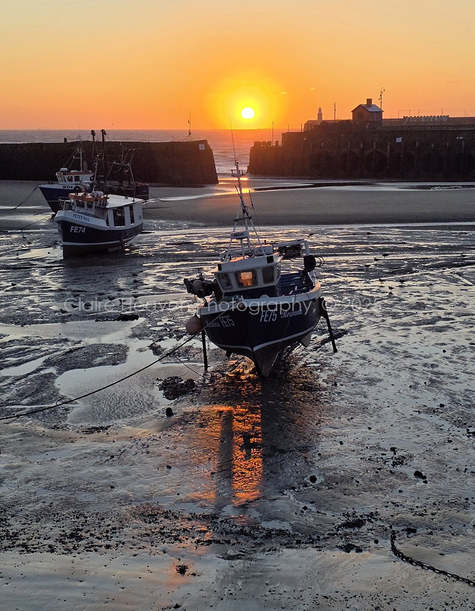 20251225_080621 copy.jpg