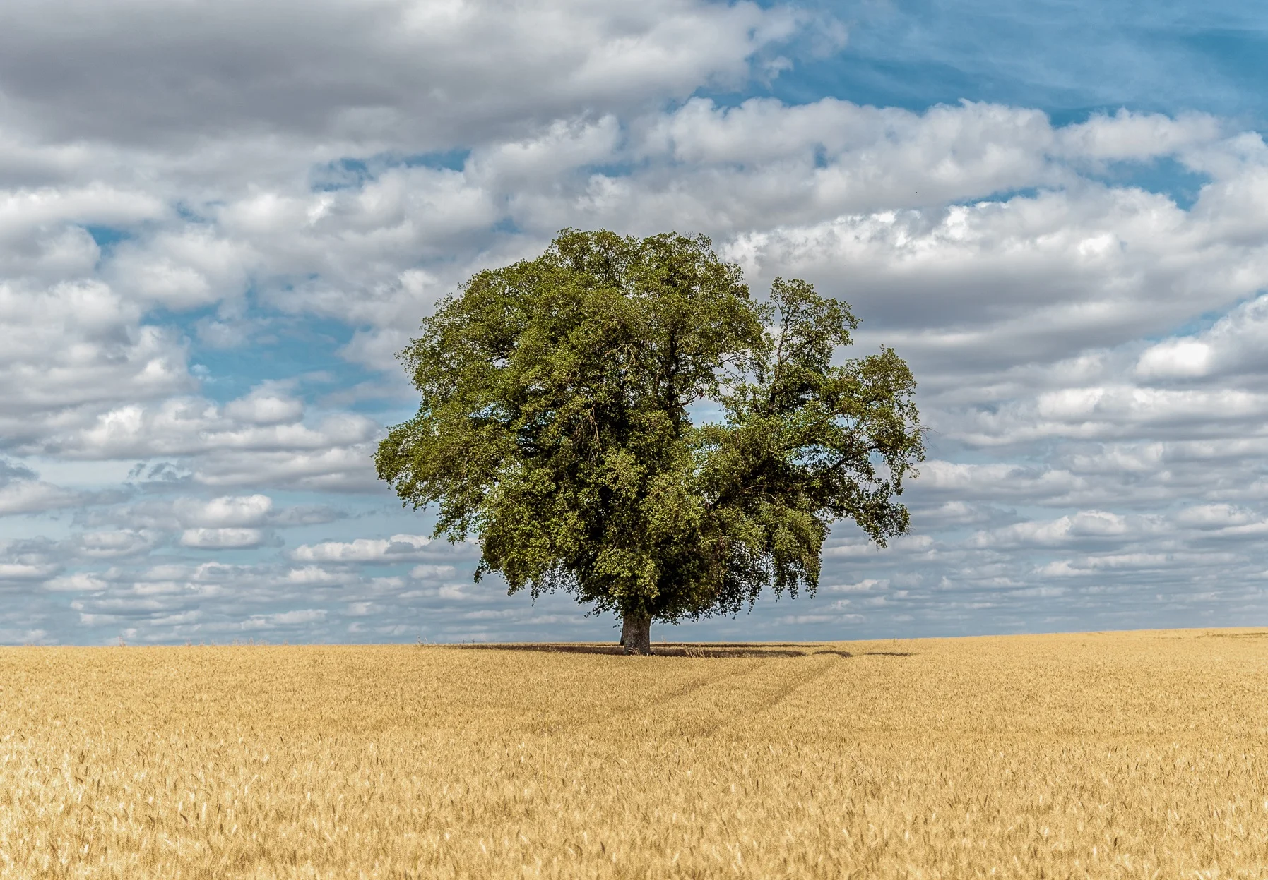 B26V3402-Edit.jpg