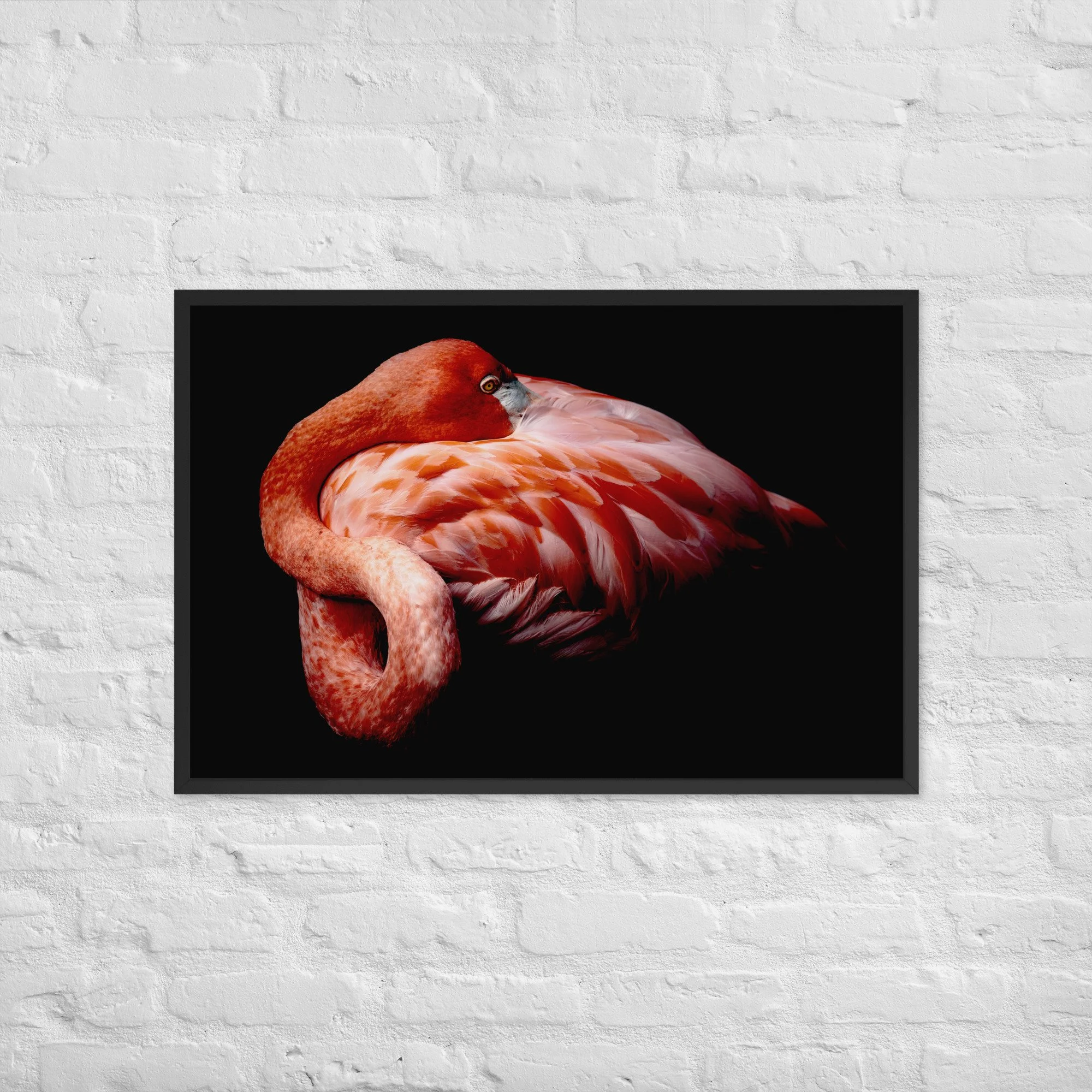 enhanced-matte-paper-framed-poster-(cm)-black-61x91-cm-front-65d78c2b6b1aa.jpg