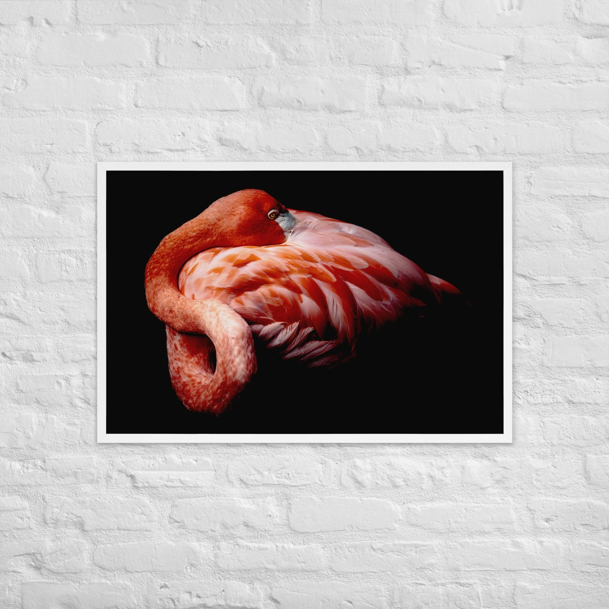 enhanced-matte-paper-framed-poster-(cm)-white-61x91-cm-front-65d78c2b6c361.jpg