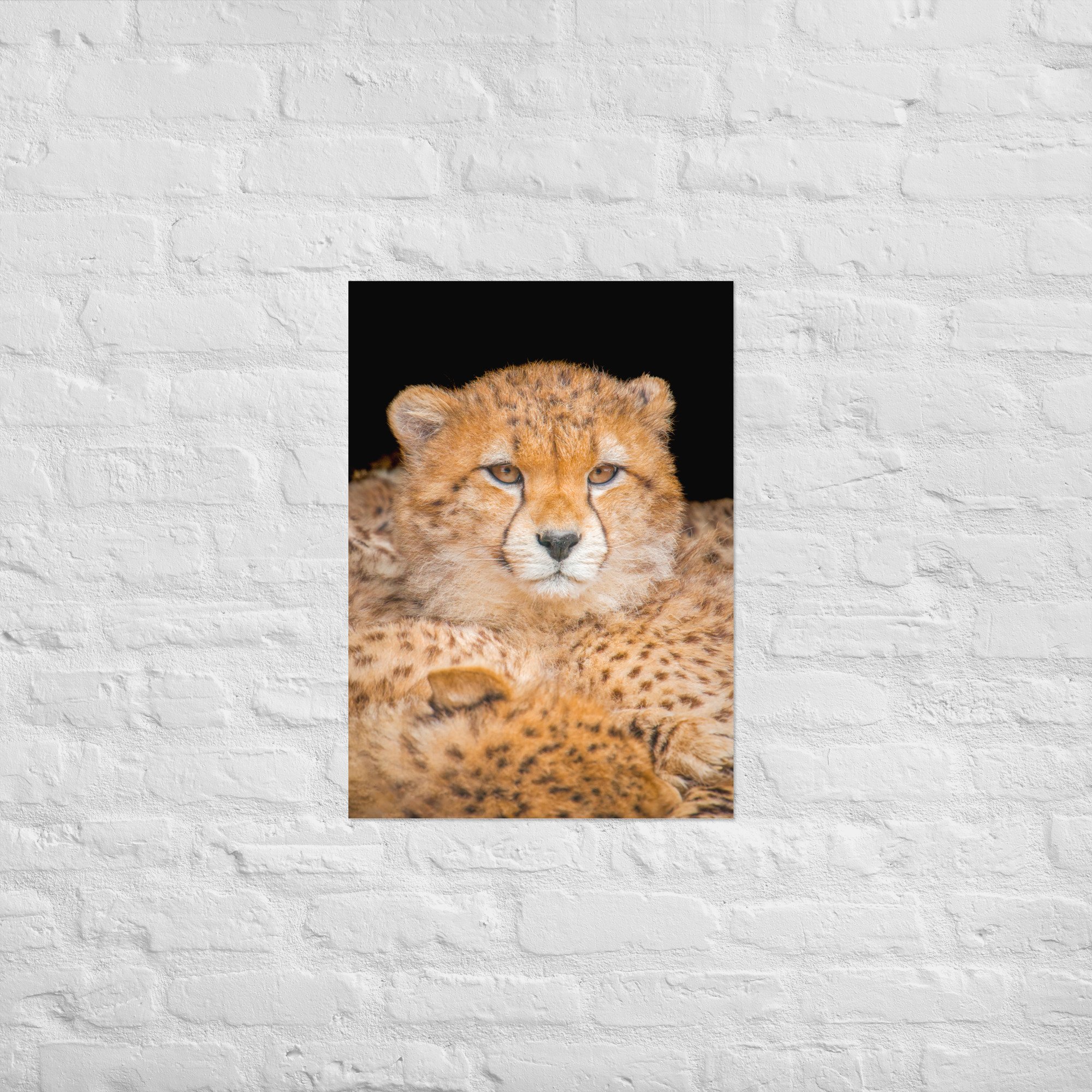 enhanced-matte-paper-poster-(cm)-50x70-cm-front-668b9ae1427ec.jpg