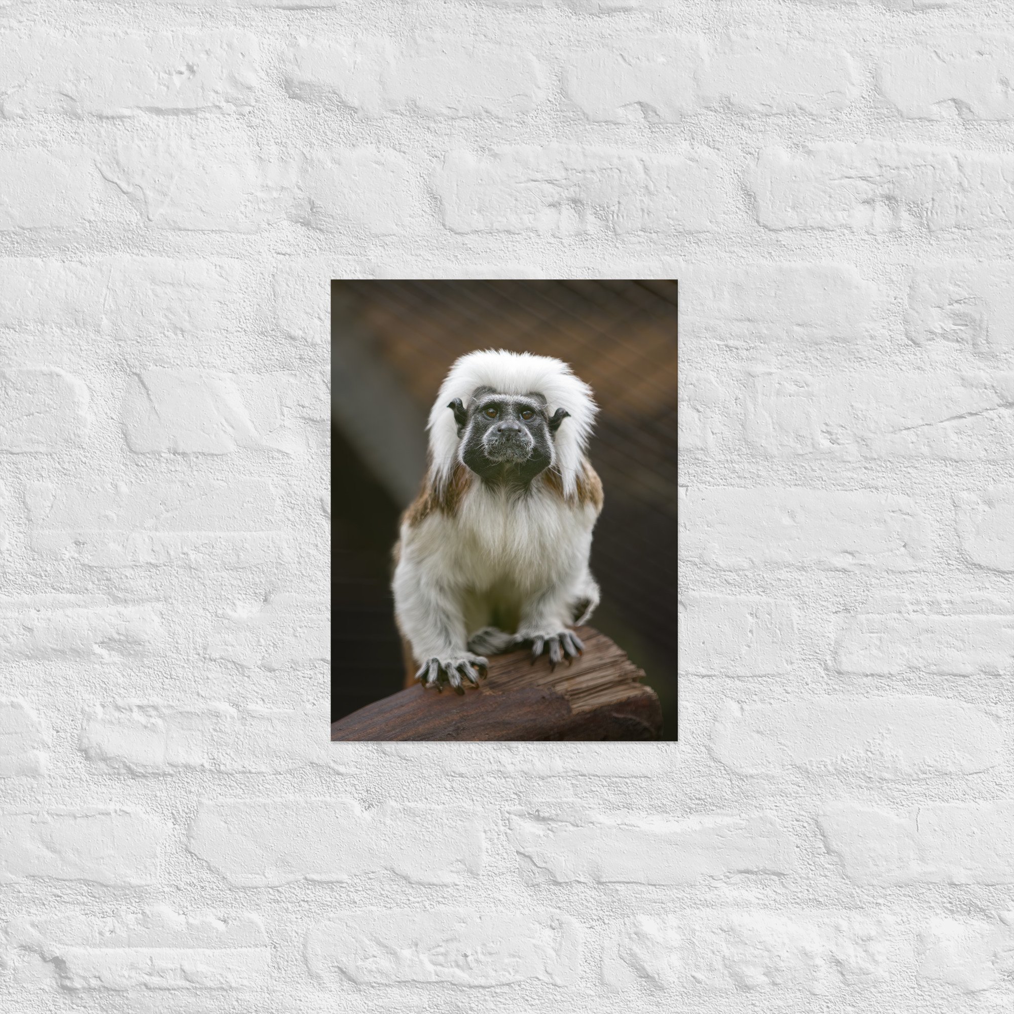 enhanced-matte-paper-poster-(cm)-30x40-cm-front-668bb7c03ce04.jpg