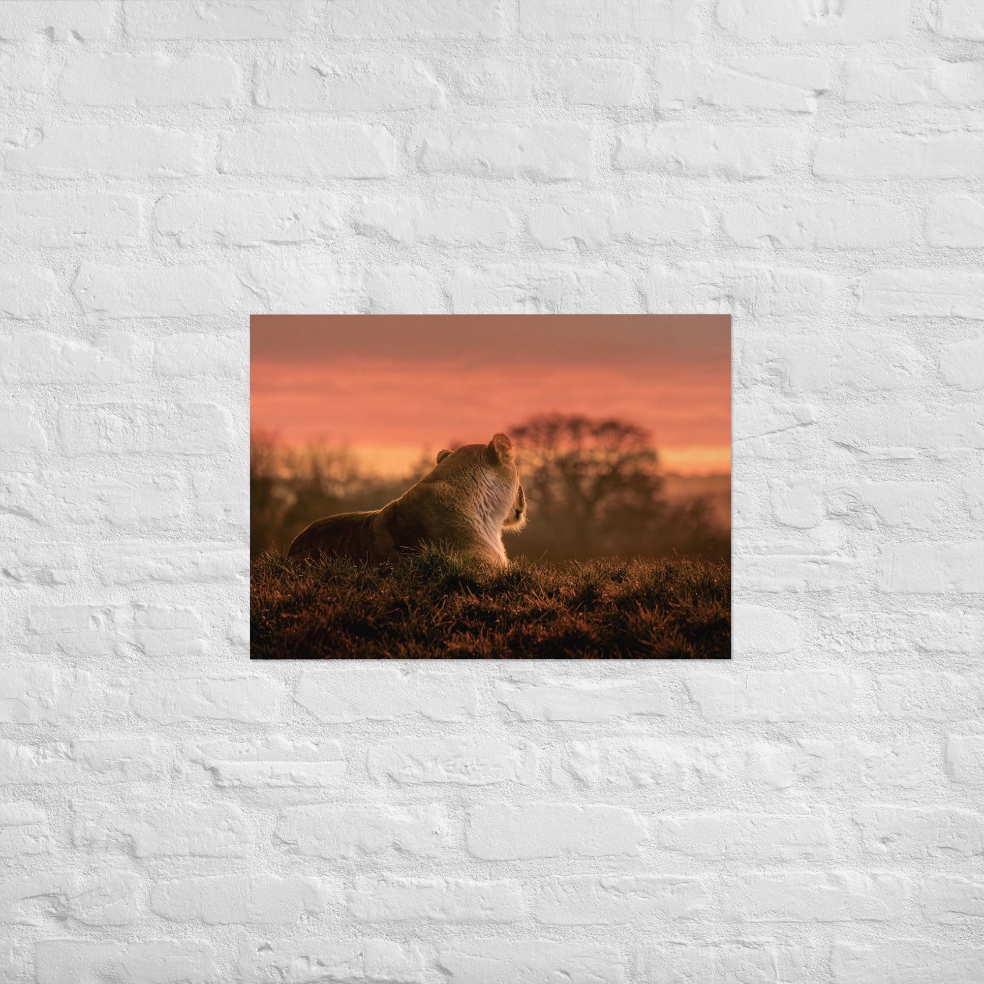 enhanced-matte-paper-poster-(cm)-50x70-cm-front-668bb9547e058.jpg