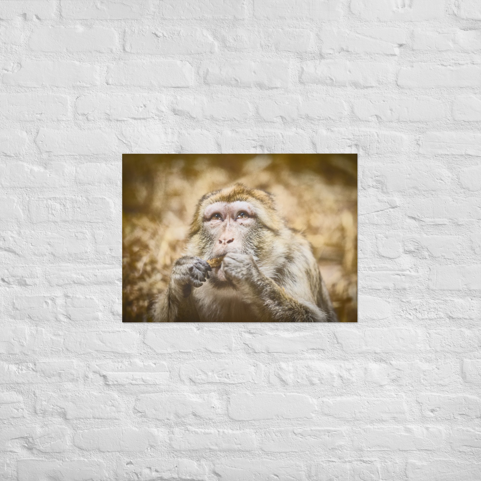 enhanced-matte-paper-poster-(cm)-50x70-cm-front-668bb9ee8ceca.jpg