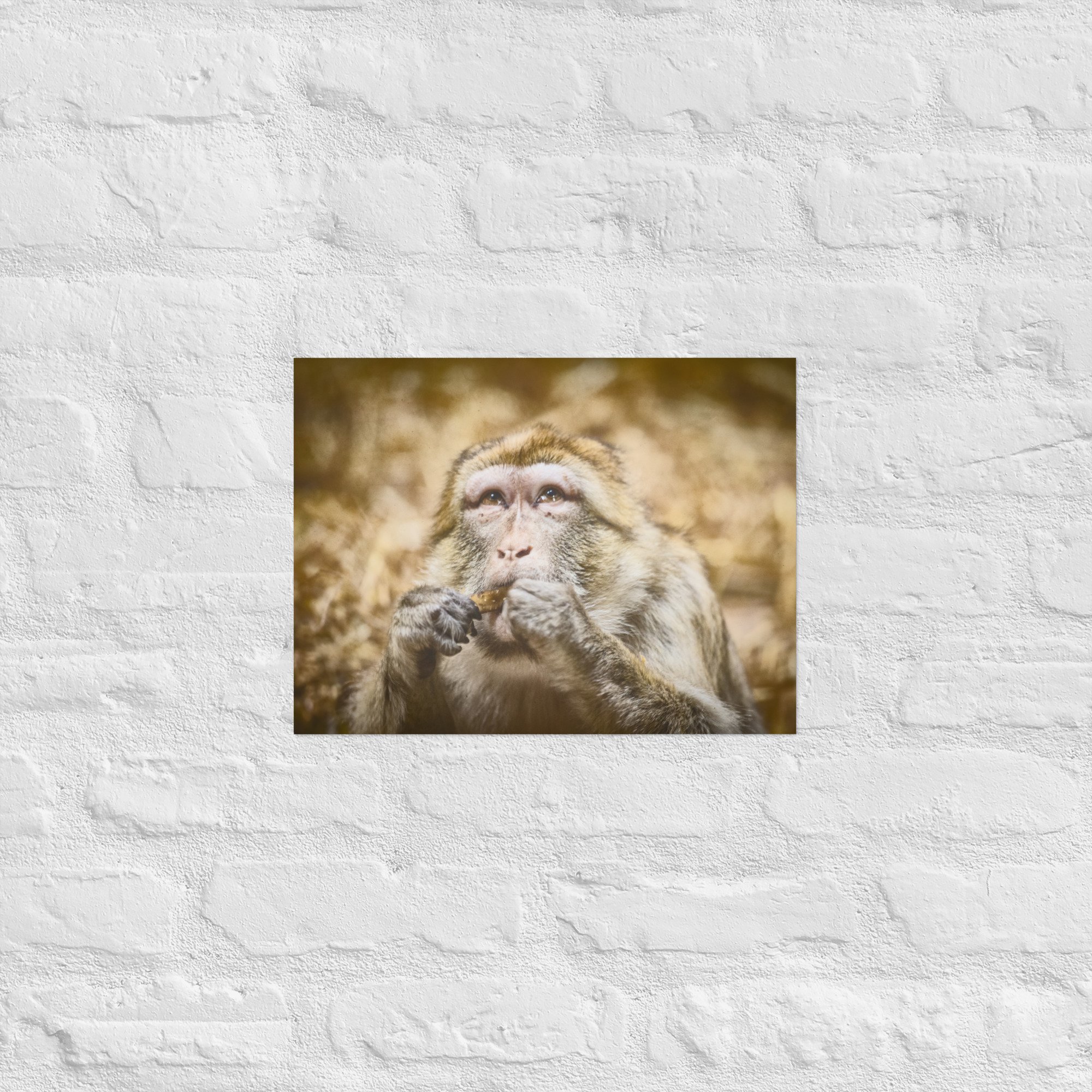 enhanced-matte-paper-poster-(cm)-30x40-cm-front-668bb9ee8dd7f.jpg