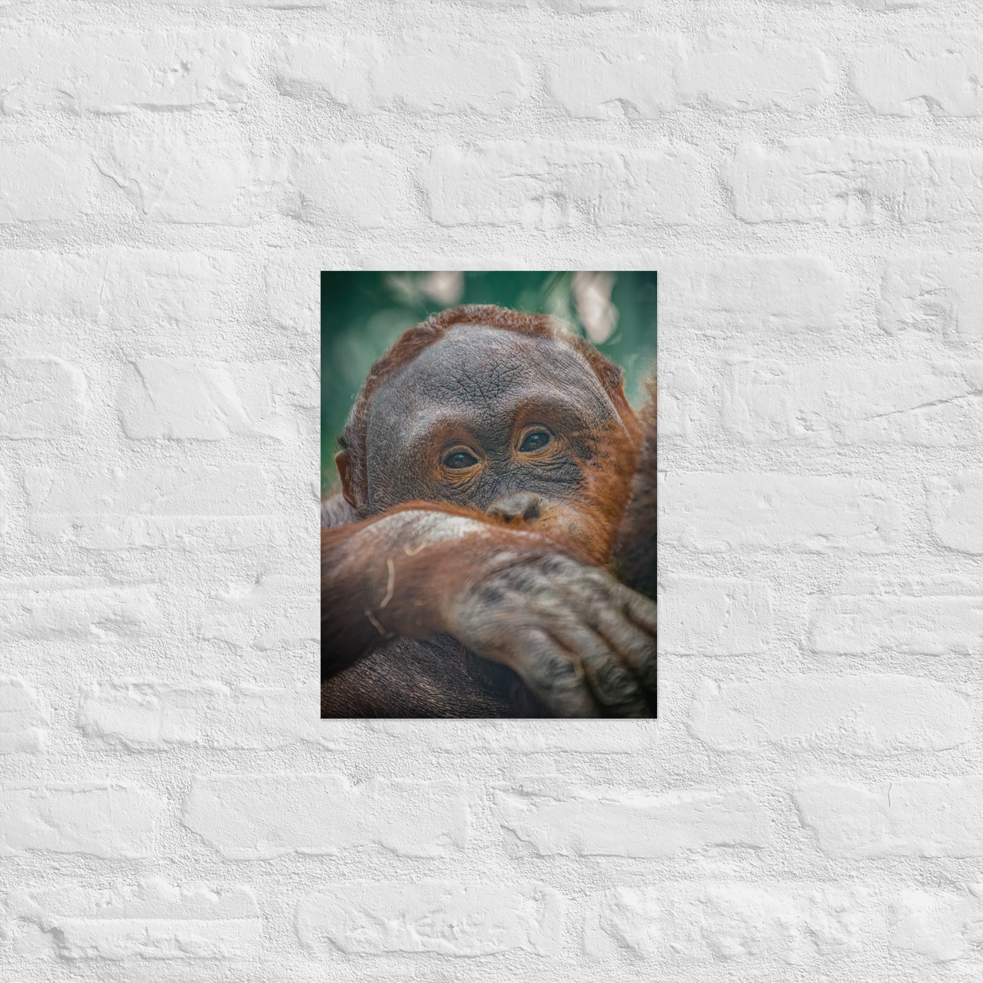 enhanced-matte-paper-poster-(cm)-30x40-cm-front-668bbbc83abce.jpg