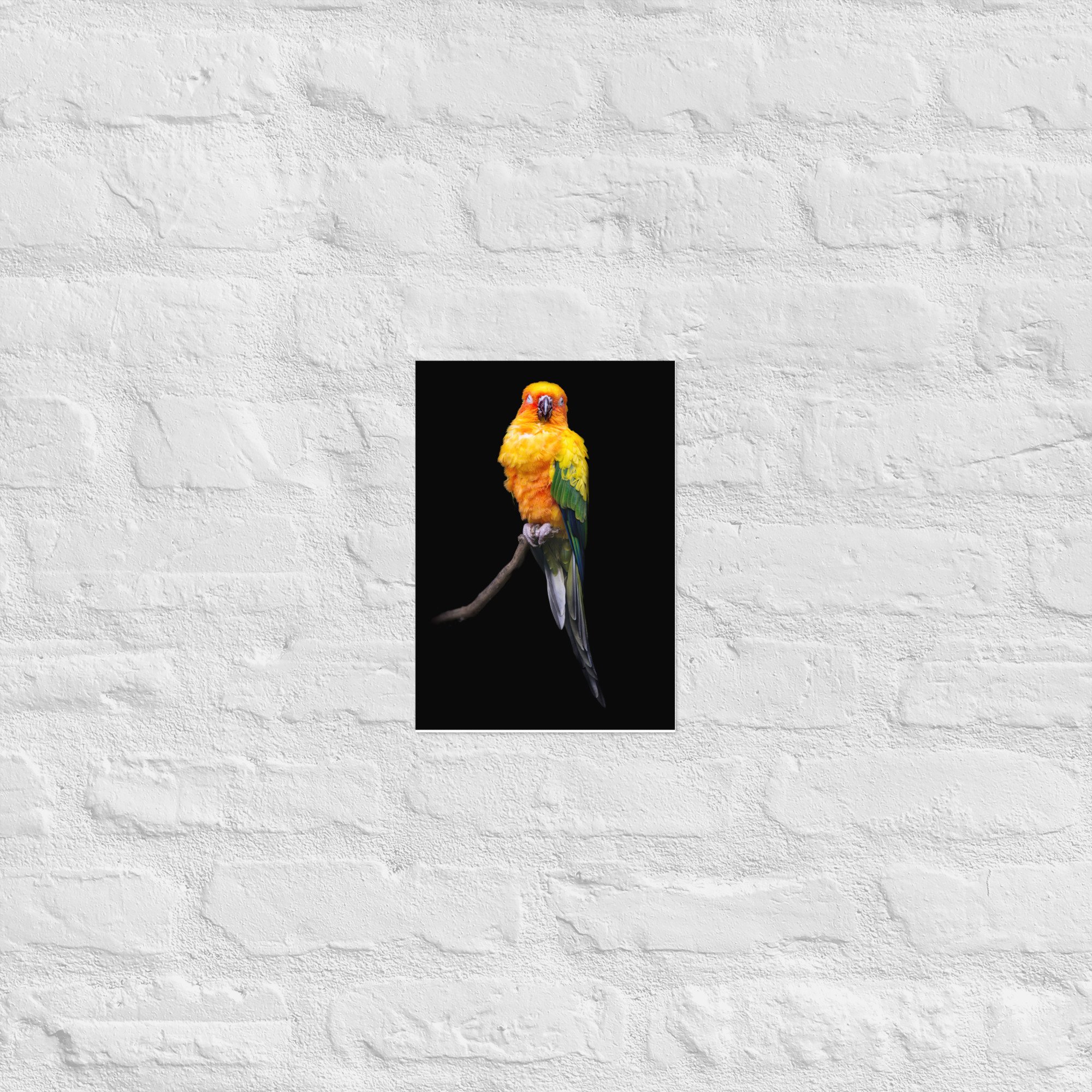 enhanced-matte-paper-poster-(cm)-21x30-cm-front-668bc0a26dc9e.jpg