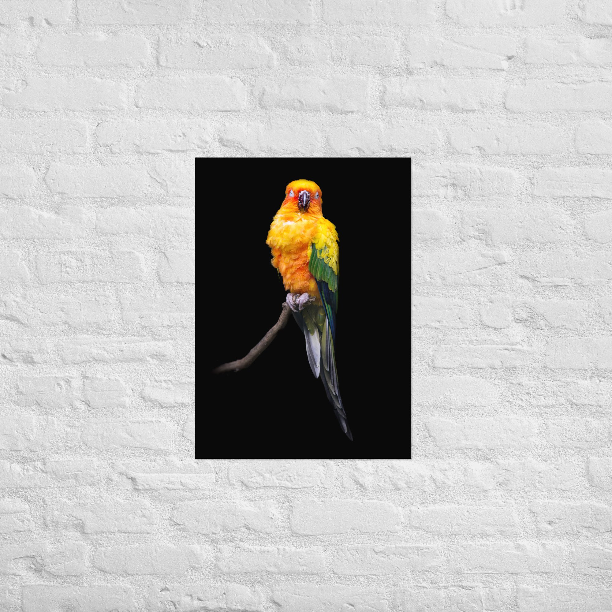 enhanced-matte-paper-poster-(cm)-50x70-cm-front-668bc0a26debc.jpg