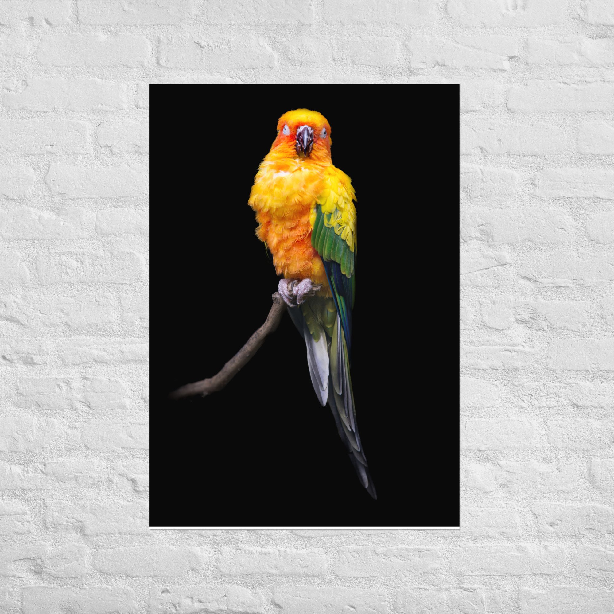 enhanced-matte-paper-poster-(cm)-70x100-cm-front-668bc0a26e050.jpg