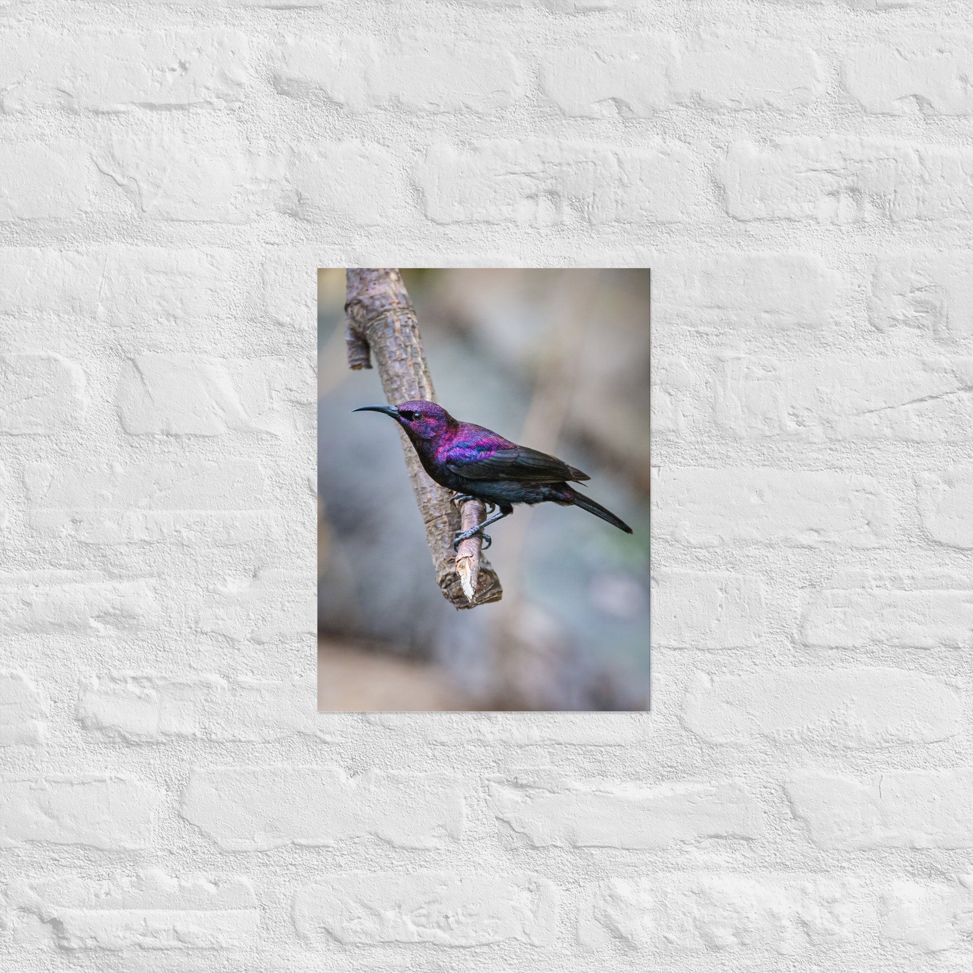 enhanced-matte-paper-poster-(cm)-30x40-cm-front-668bc14e6be40.jpg