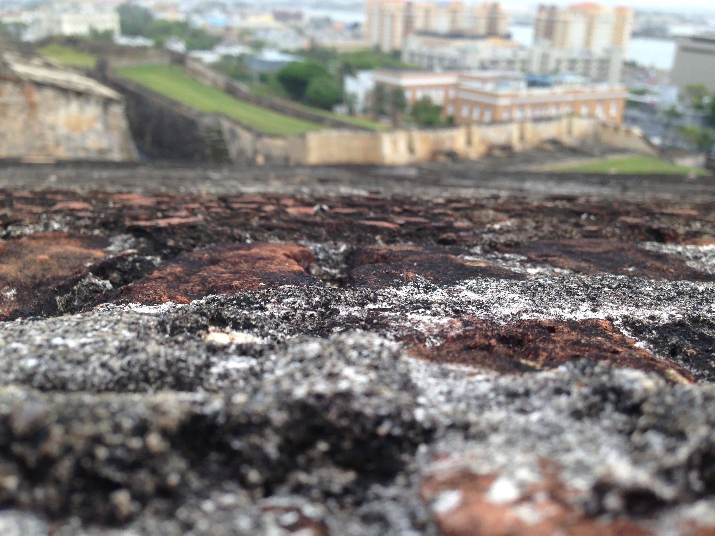 2013-05-31 16.13.20.jpg