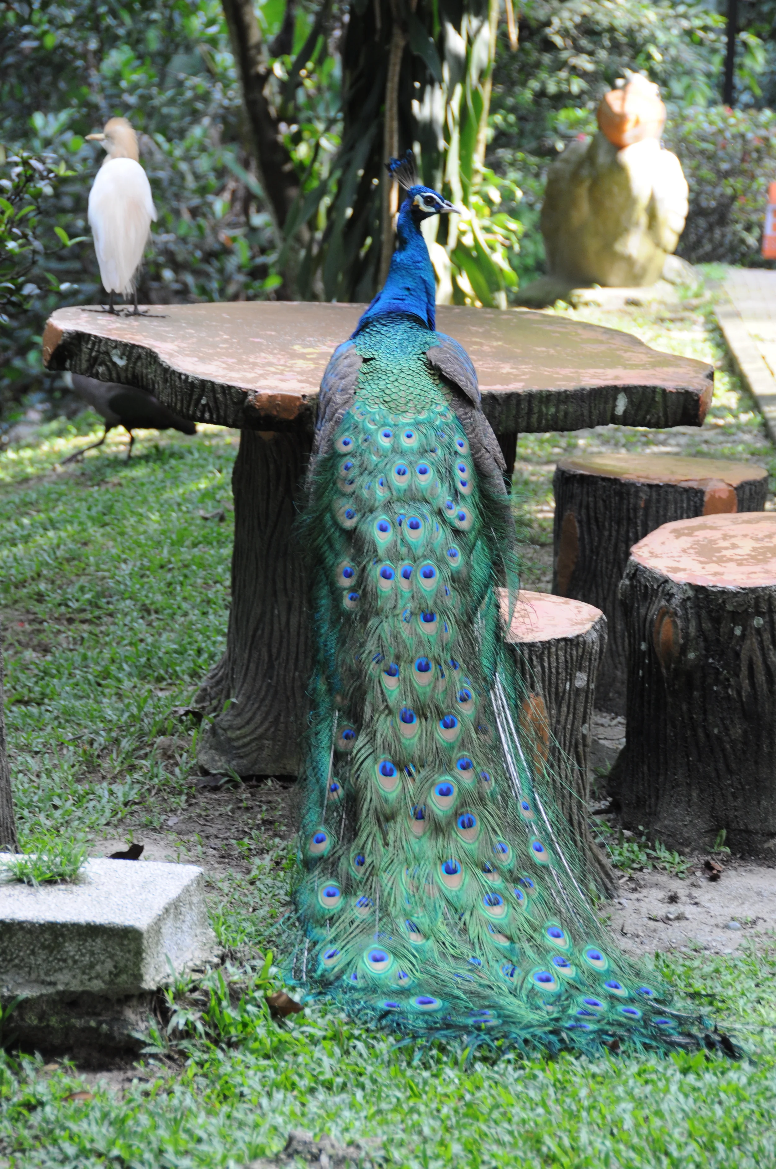 DSC_0056.jpg