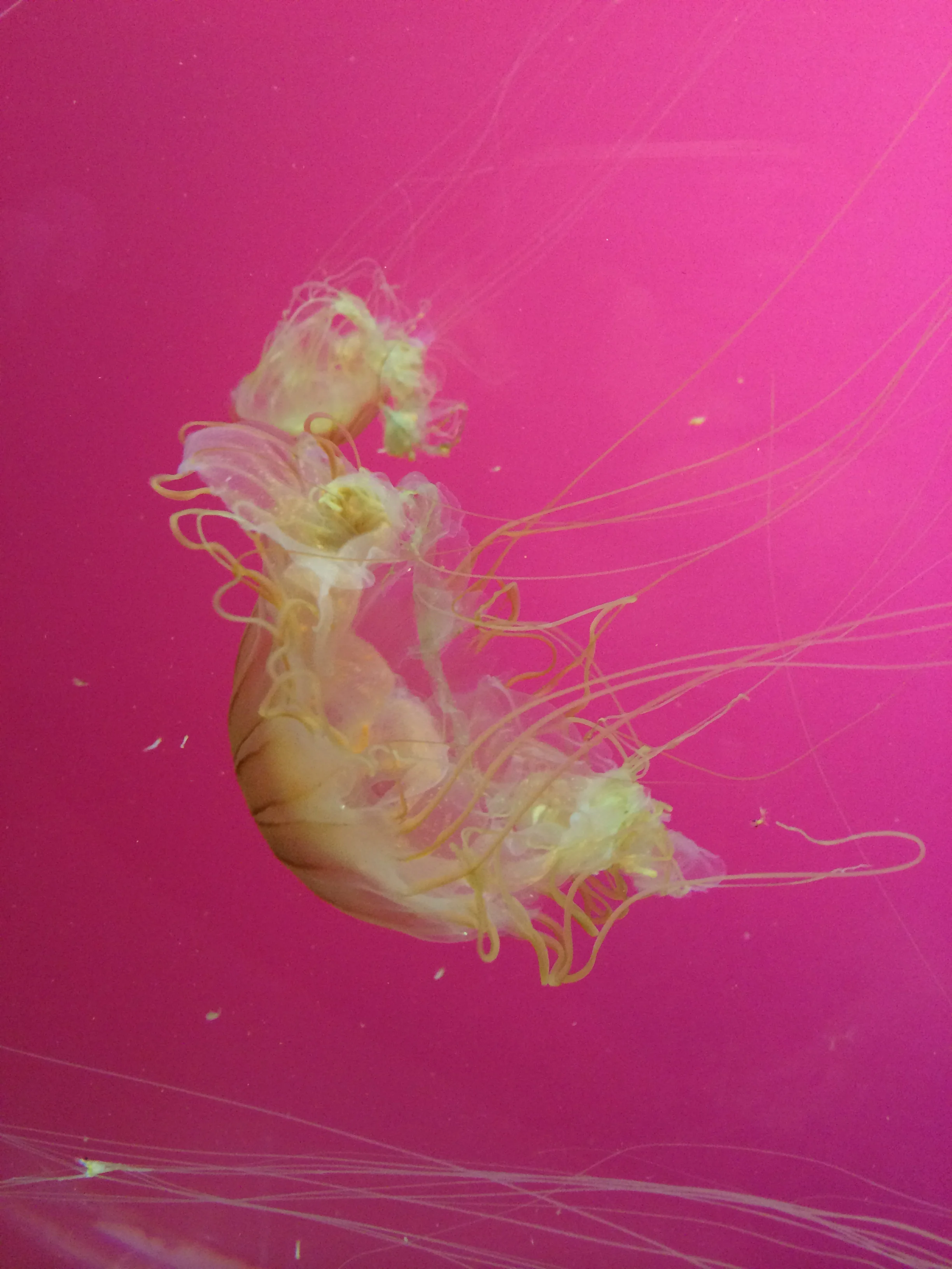 2014-07-04 16.14.49.jpg