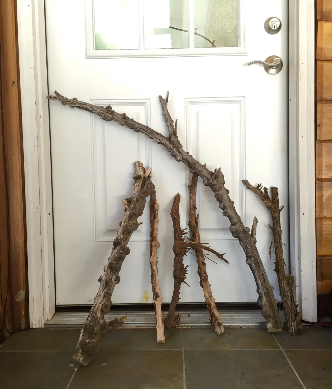 Some great new, knobby tamarisk and cedar branches to play with, thanks to our recent trip to the southwest!