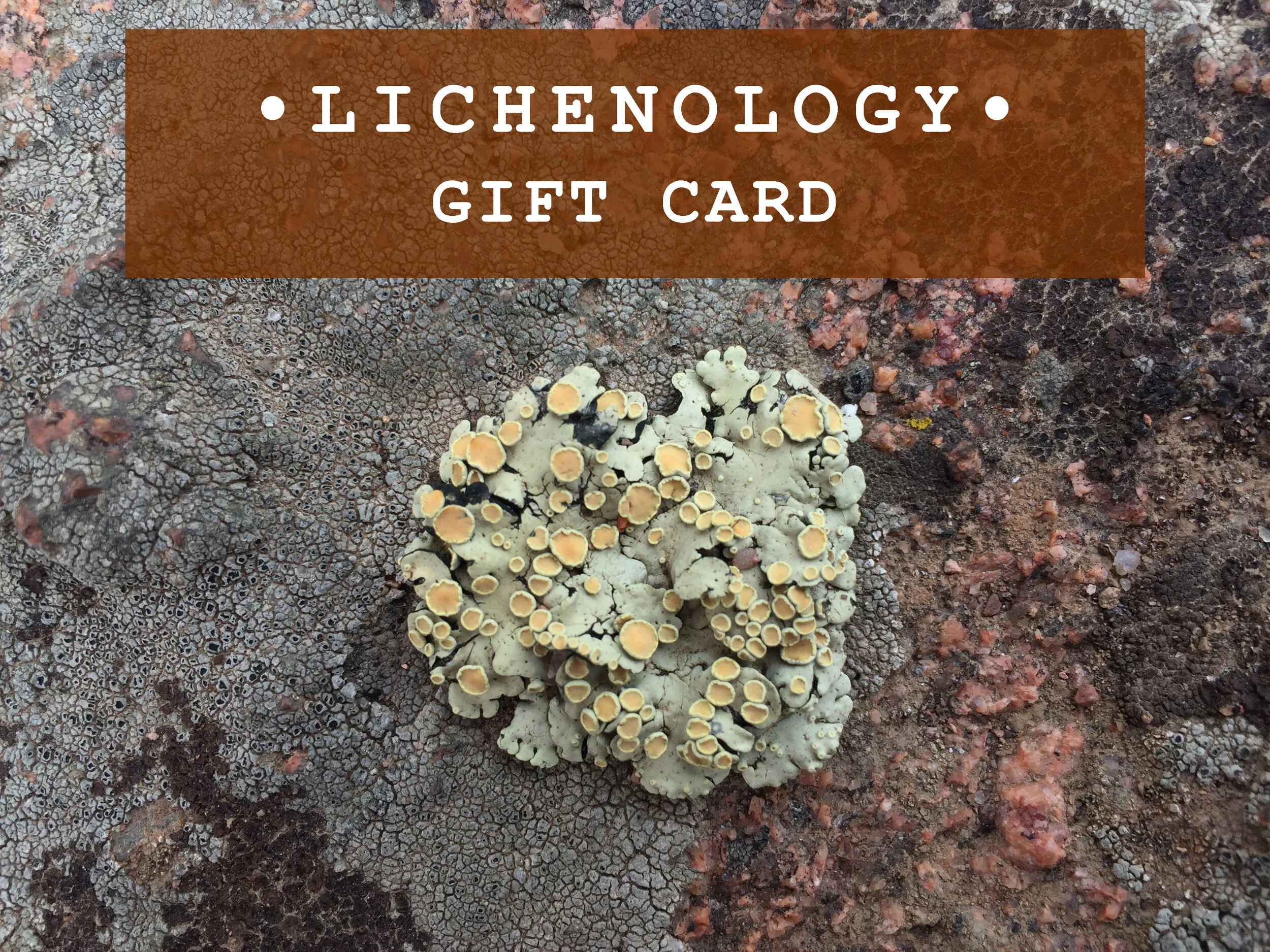 Lichenology Gift Card