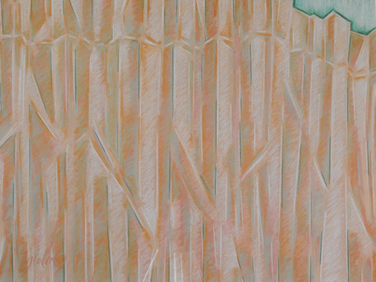 "CHACO #3"