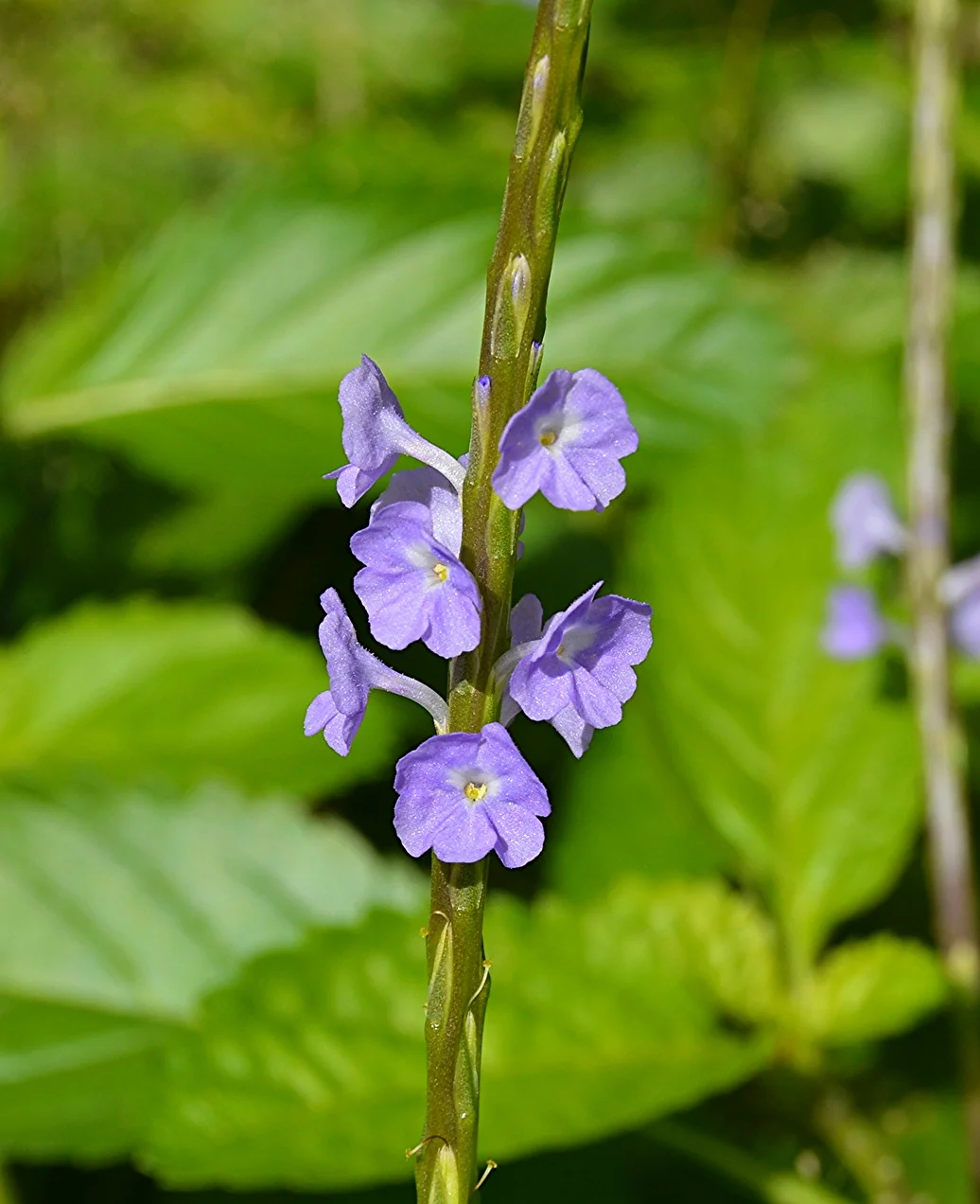 November 26 2015 1594.JPG