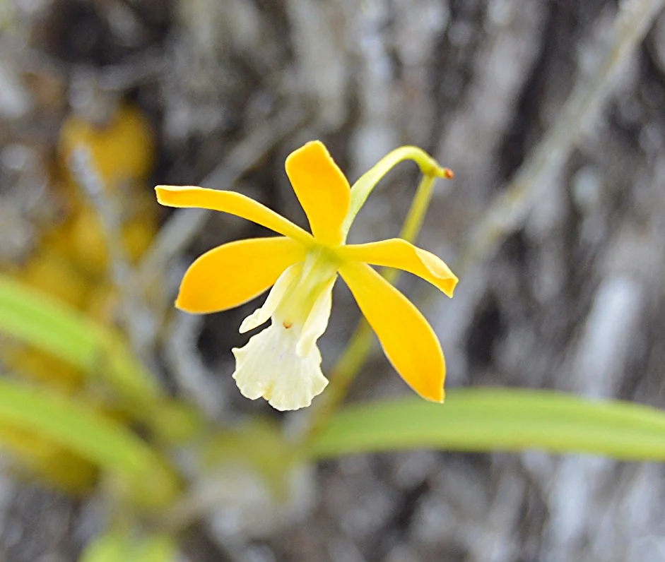 November 26 2015 1583.JPG