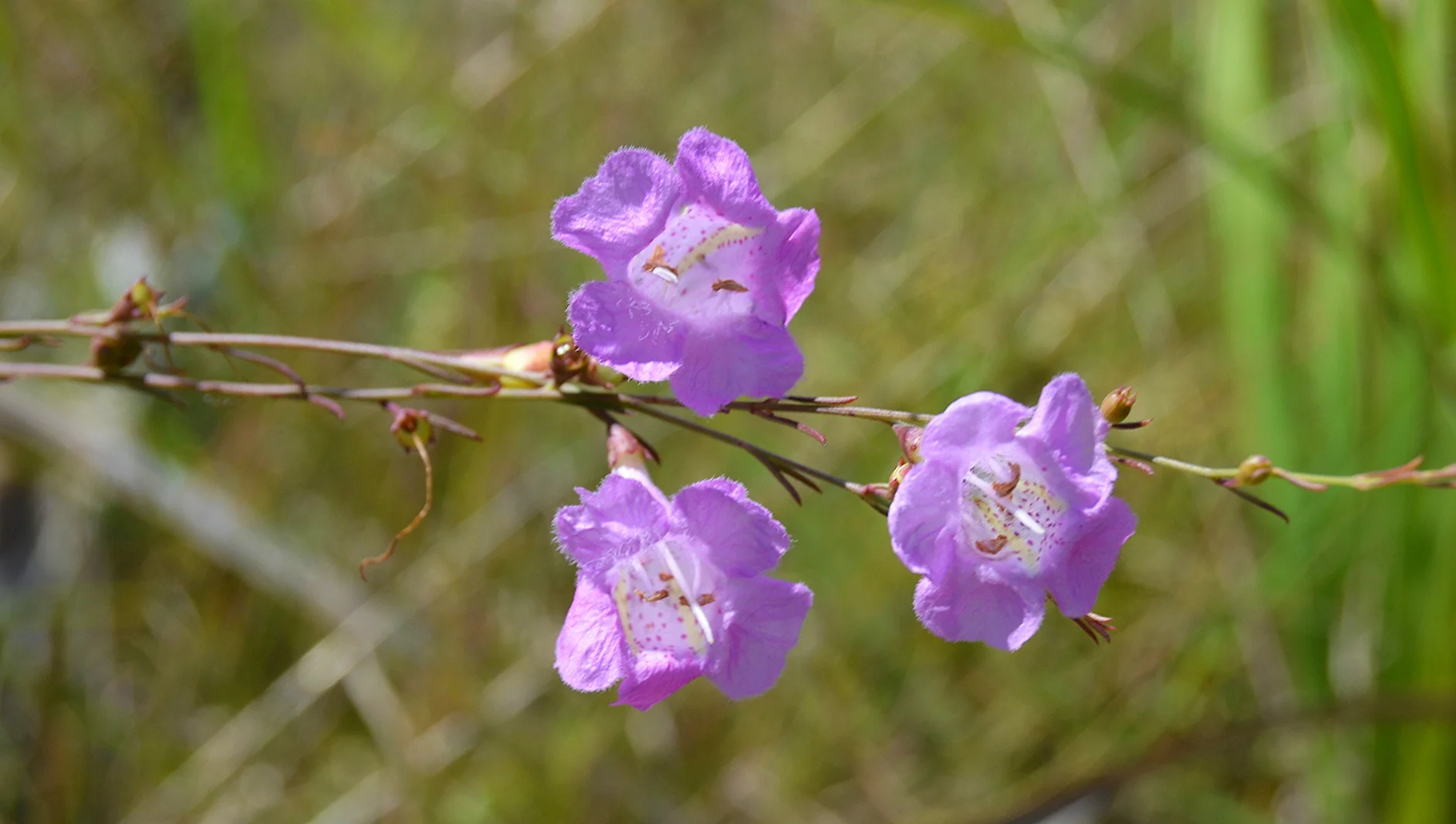 November 26 2015 1514.JPG