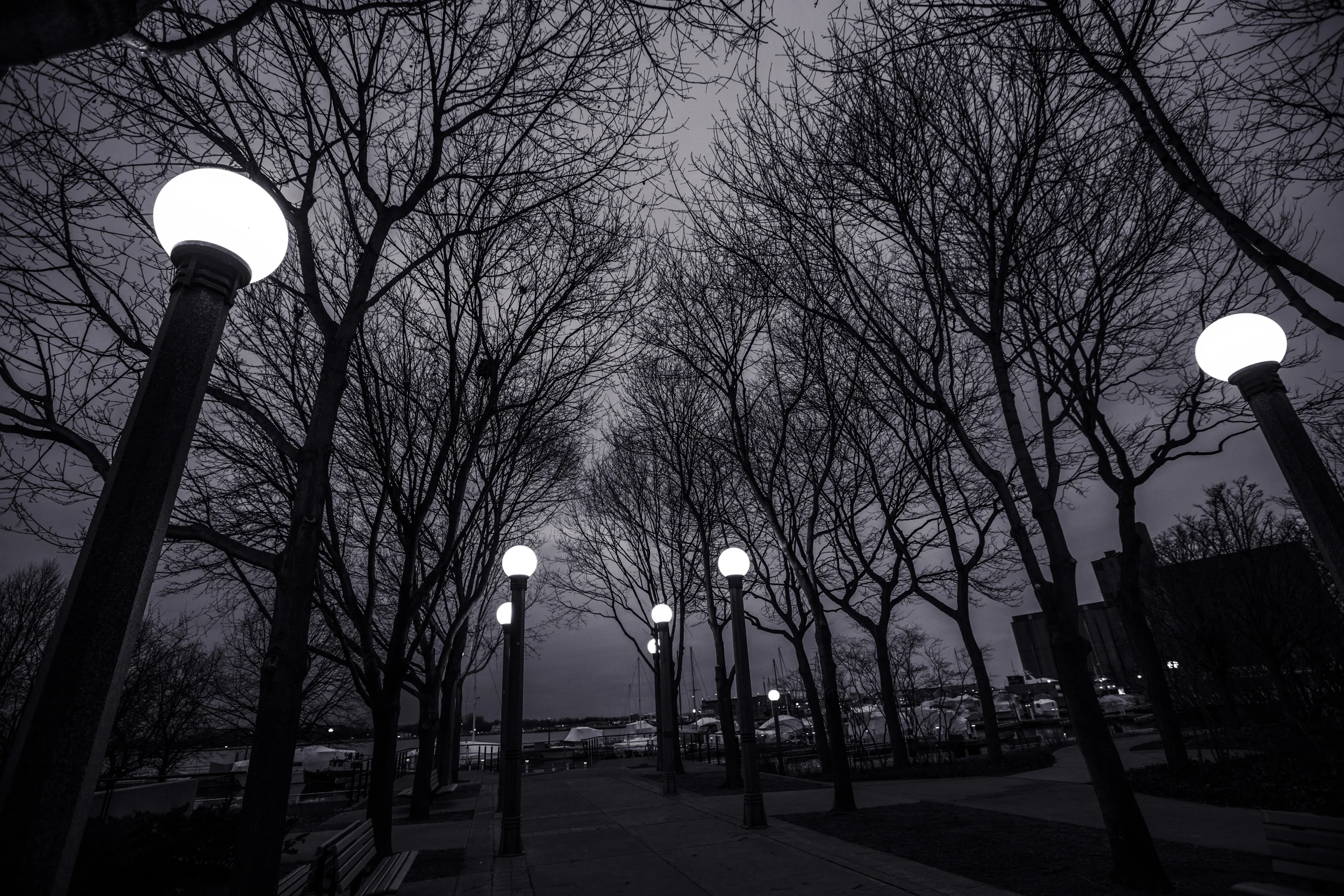 lakeshorepics_ps_34.JPG