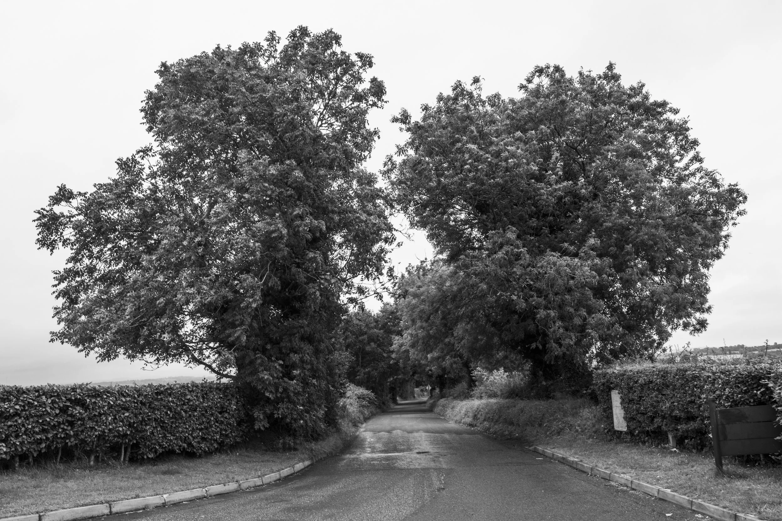 road.jpg