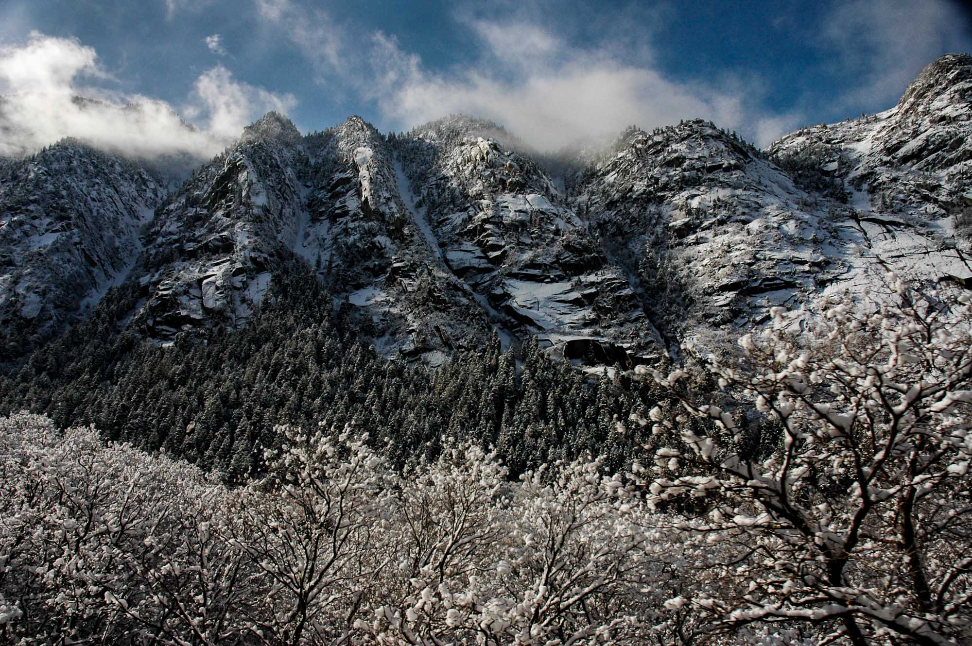 Little Cottonwood