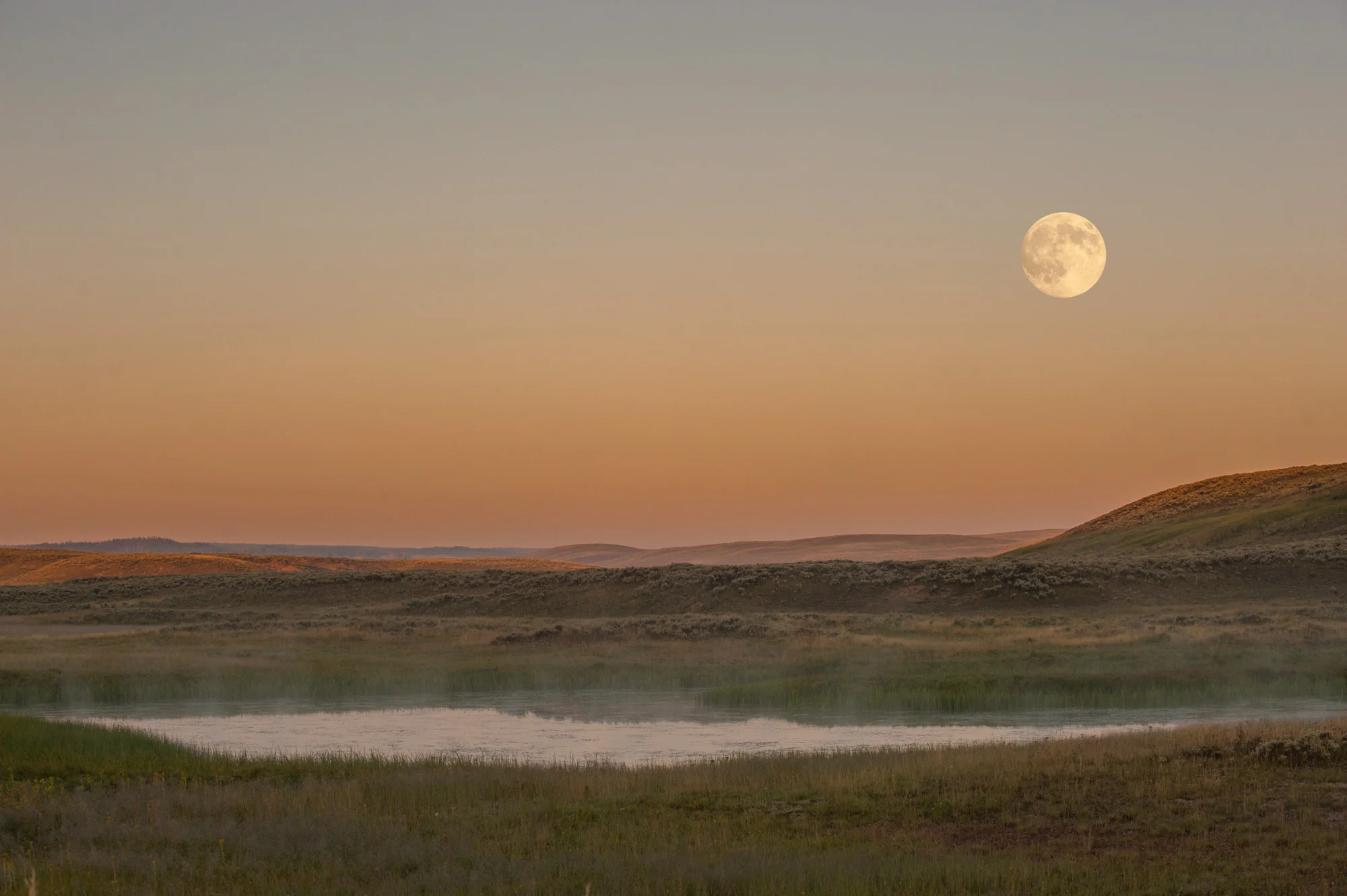 Moonrise over Hayden Valley