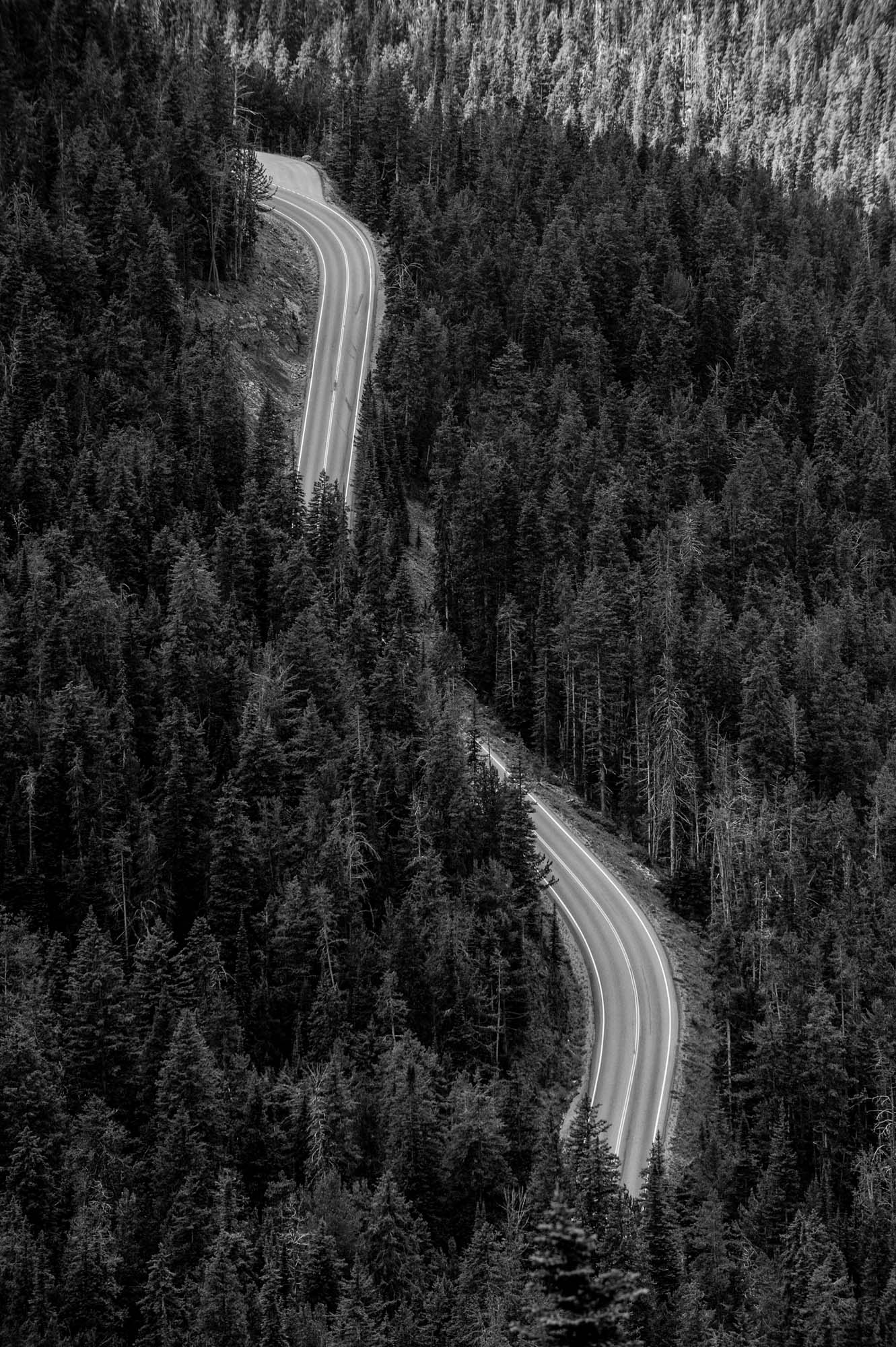 Winding Roads