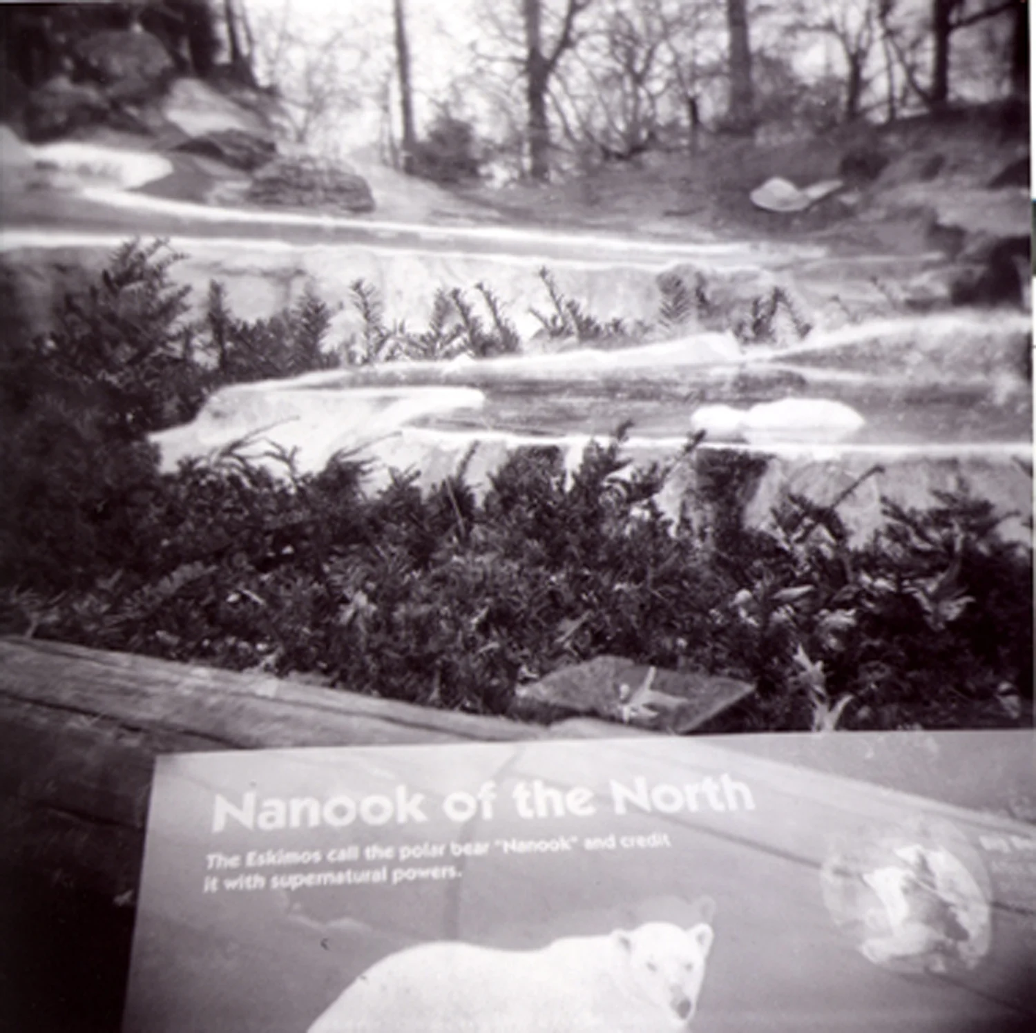 Nanook of the North