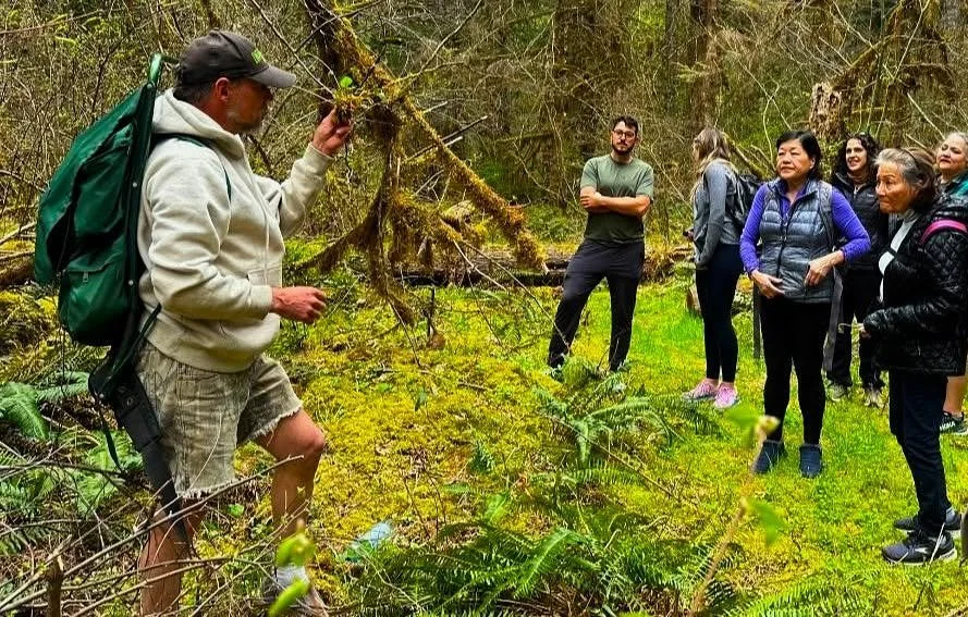 Foraging Forest Edibles