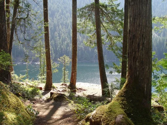 Lower Lena Lake Trail