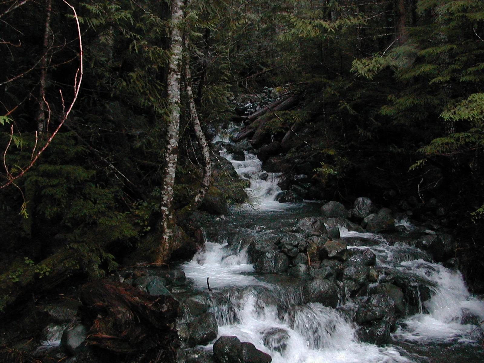 Big Creek Trail