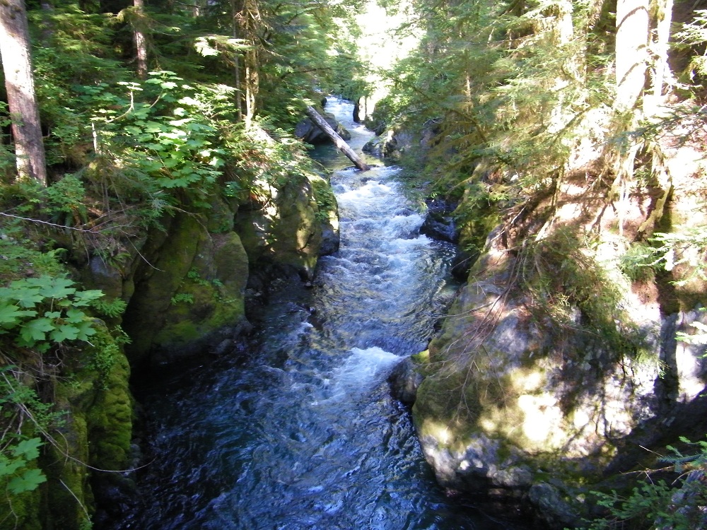 North Fork Skokomish