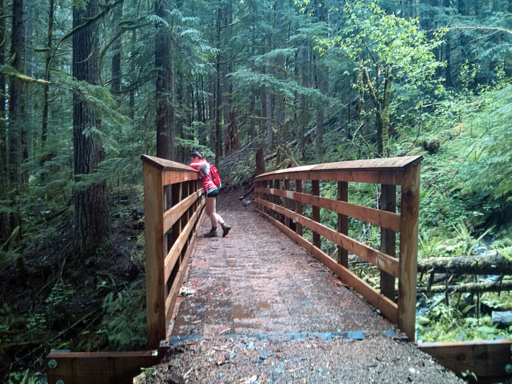 Lower South Fork Skokomish Trail