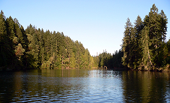 Jarrell Cove Trail