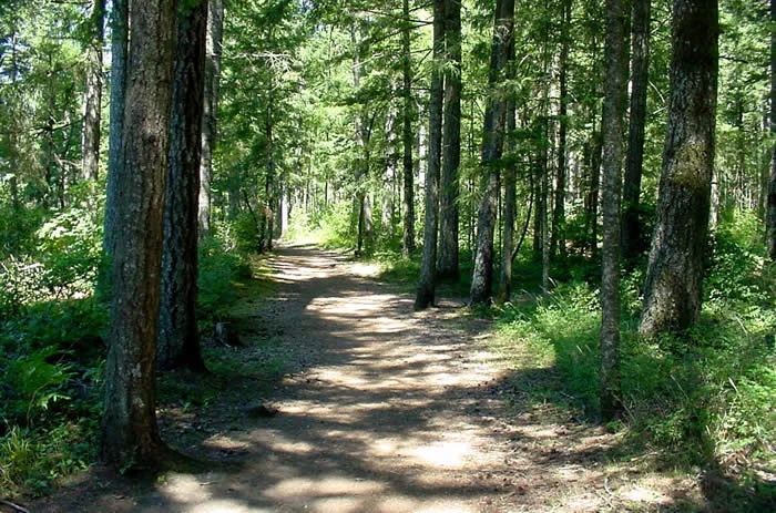 Huff n Puff Trail