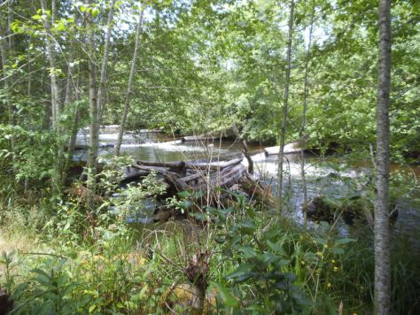 Goldsborough Creek Trail