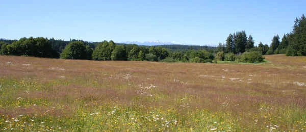 Isabella Lake State Park Trails