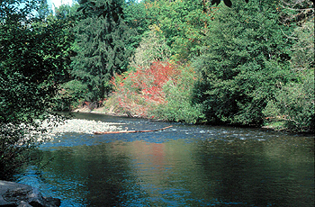 Schafer State Park Trail