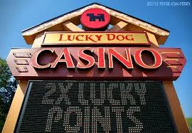 Lucky Dog Casino