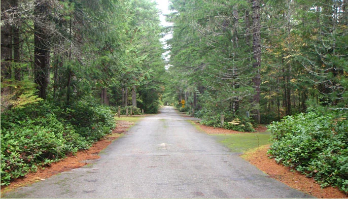 Skokomish Park