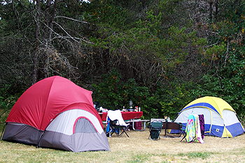 Belfair State Park