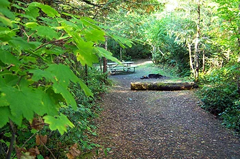 Potlatch State Park